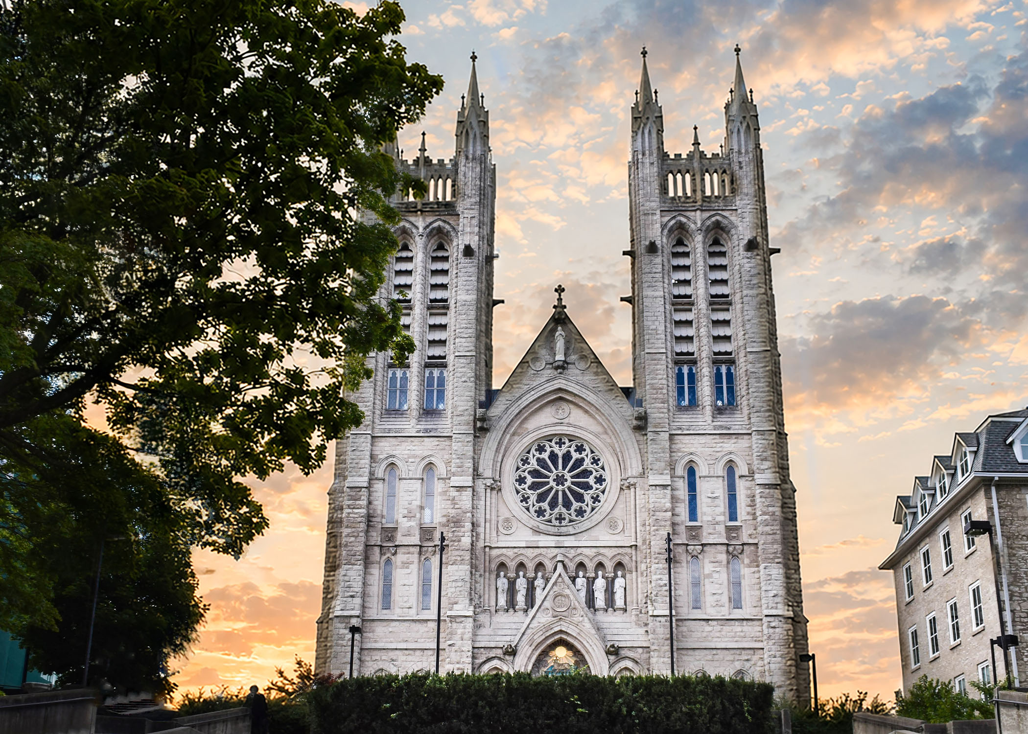Basilica of Our Lady Immaculate